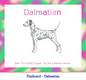 Dalmatian Dog Flashcard– with breed name